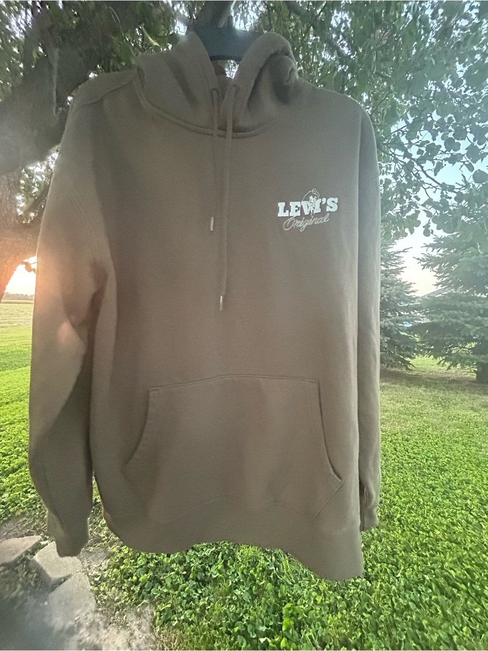 Levi's Men's  Pullover Hoodie